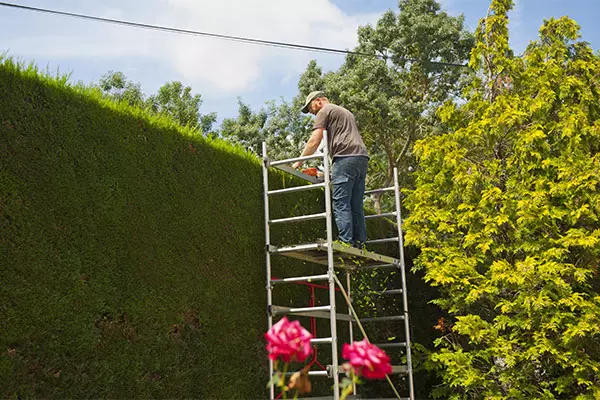 Votre jardin entre de bonnes mains