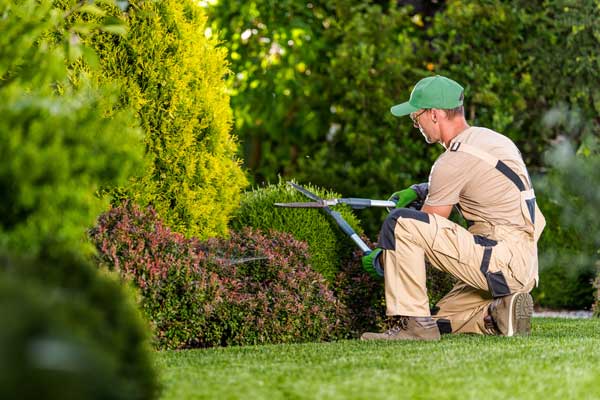 Un service élégant pour vos jardins